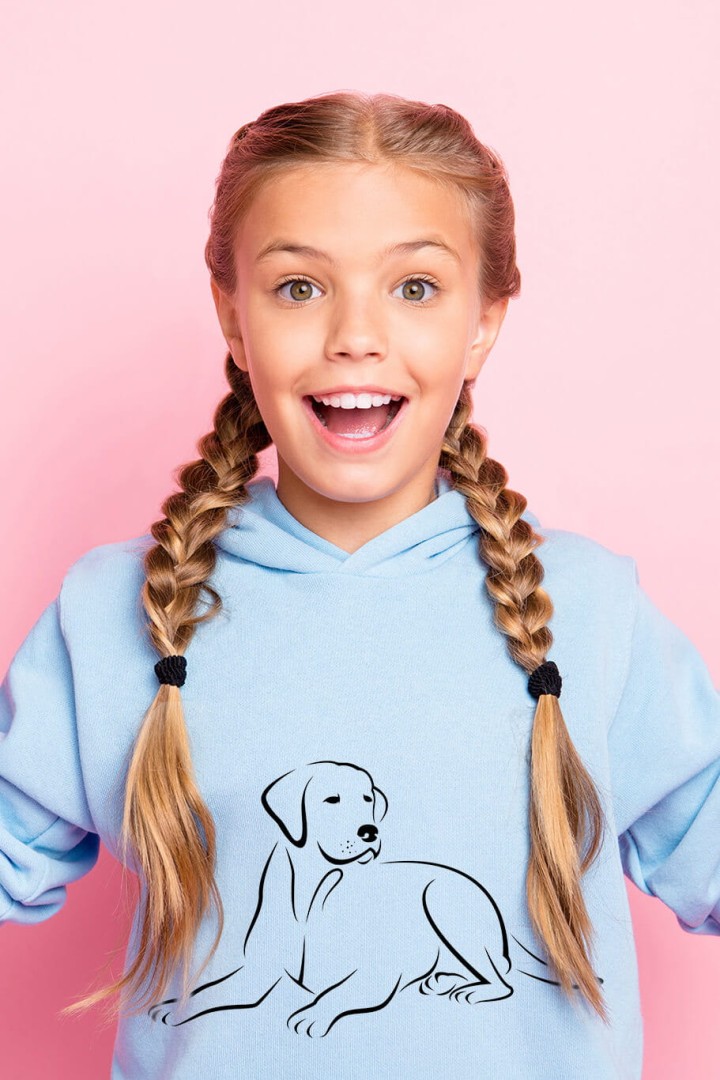Dětská mikina s kapucí Labrador