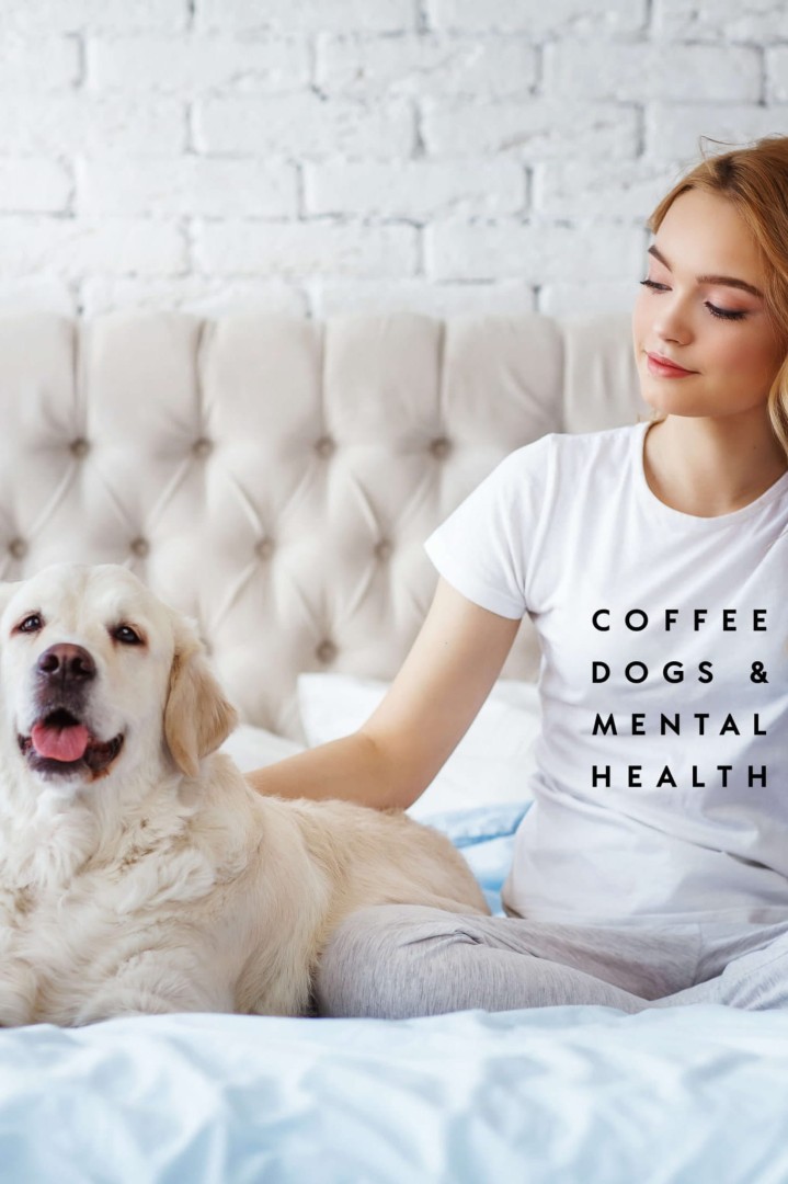 Tričko Coffee & Dogs