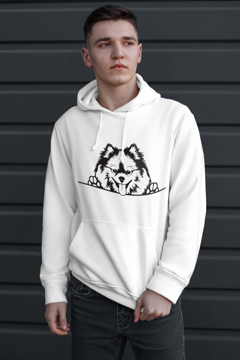 Pomeranianmodelbluza.jpg