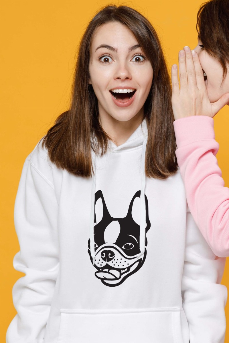BostonTerriermodelbluza-min (1).jpg